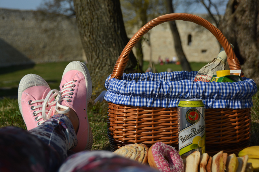 spring-picnic-janatini-novesta-9