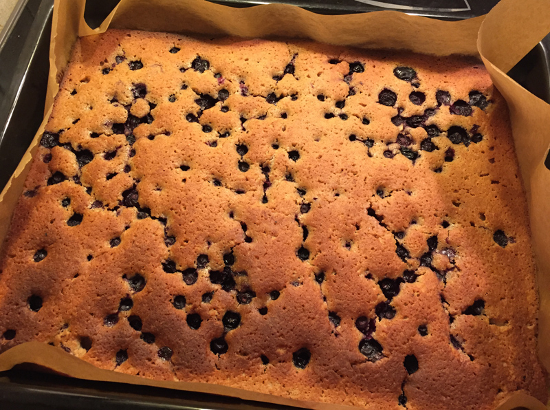blueberry-cake-spelt-flour--no-sugar-spaldova-bublanina-bez-cukru-janatini2